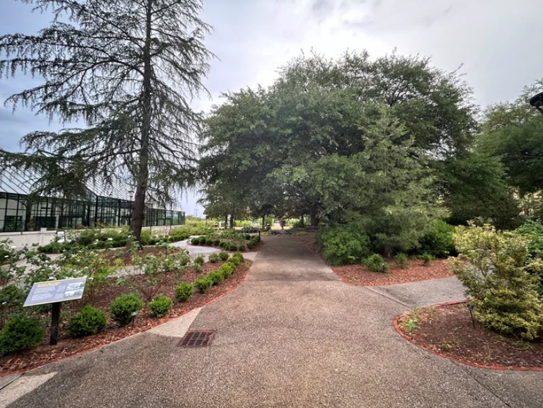 W. Gordon Belser Arboretum, United States
